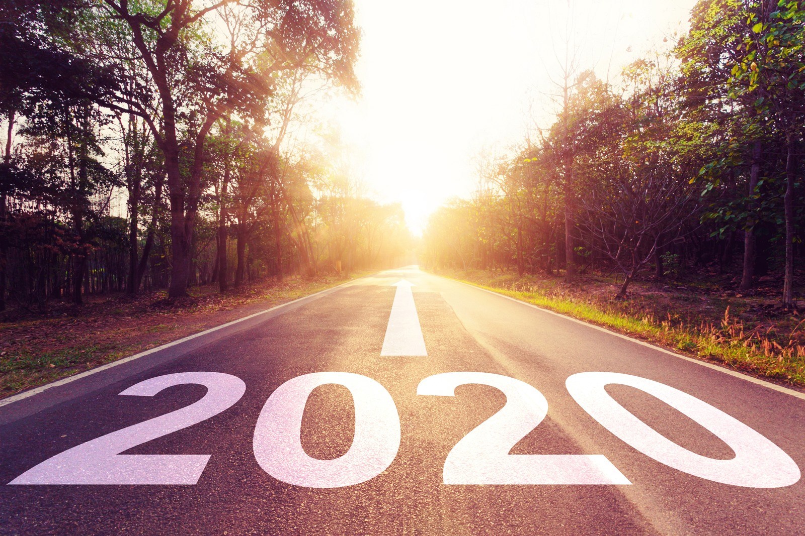 Legnépszerűbb írásaink 2020 ban